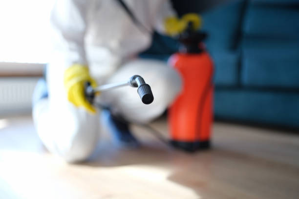 Best Post-Remediation Verification Testing  in Hurleyville, NY