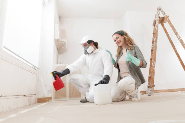Professional Mold Removal in Hurleyville, NY